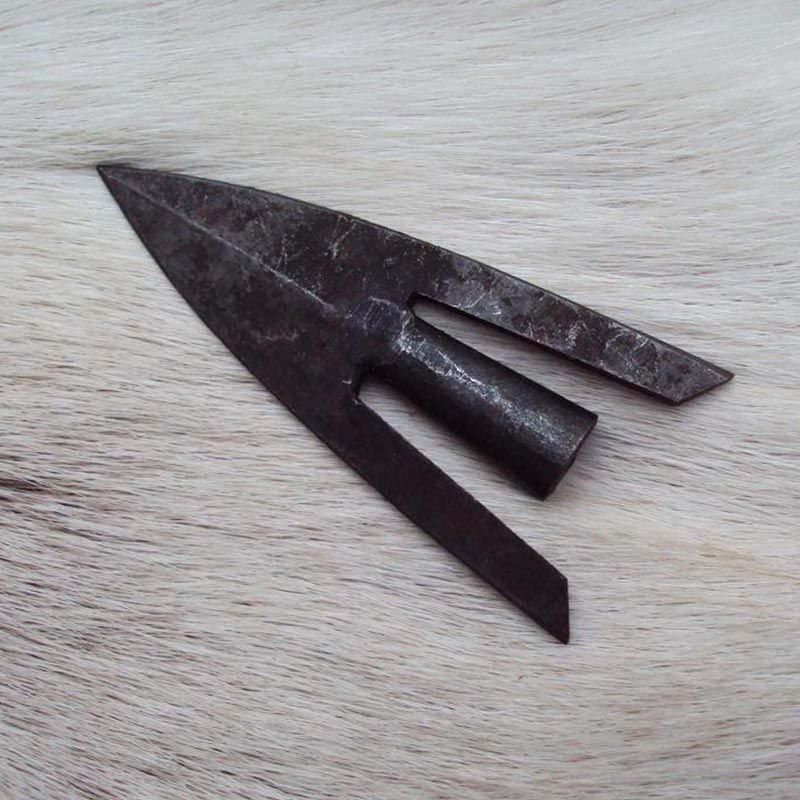 Broad Tailed Arrowhead